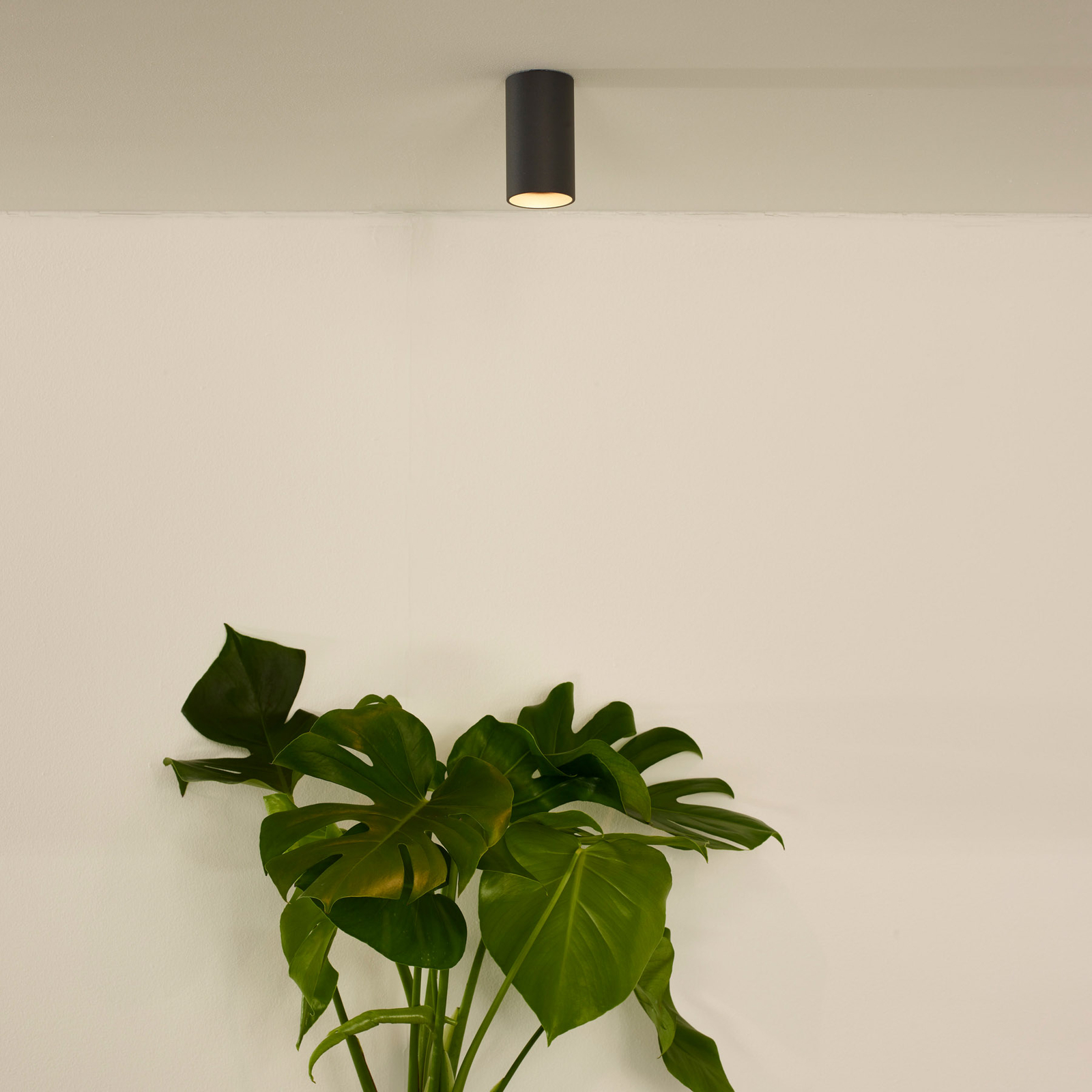 LED-loftslampe Delto dæmp til varm, rund, grå