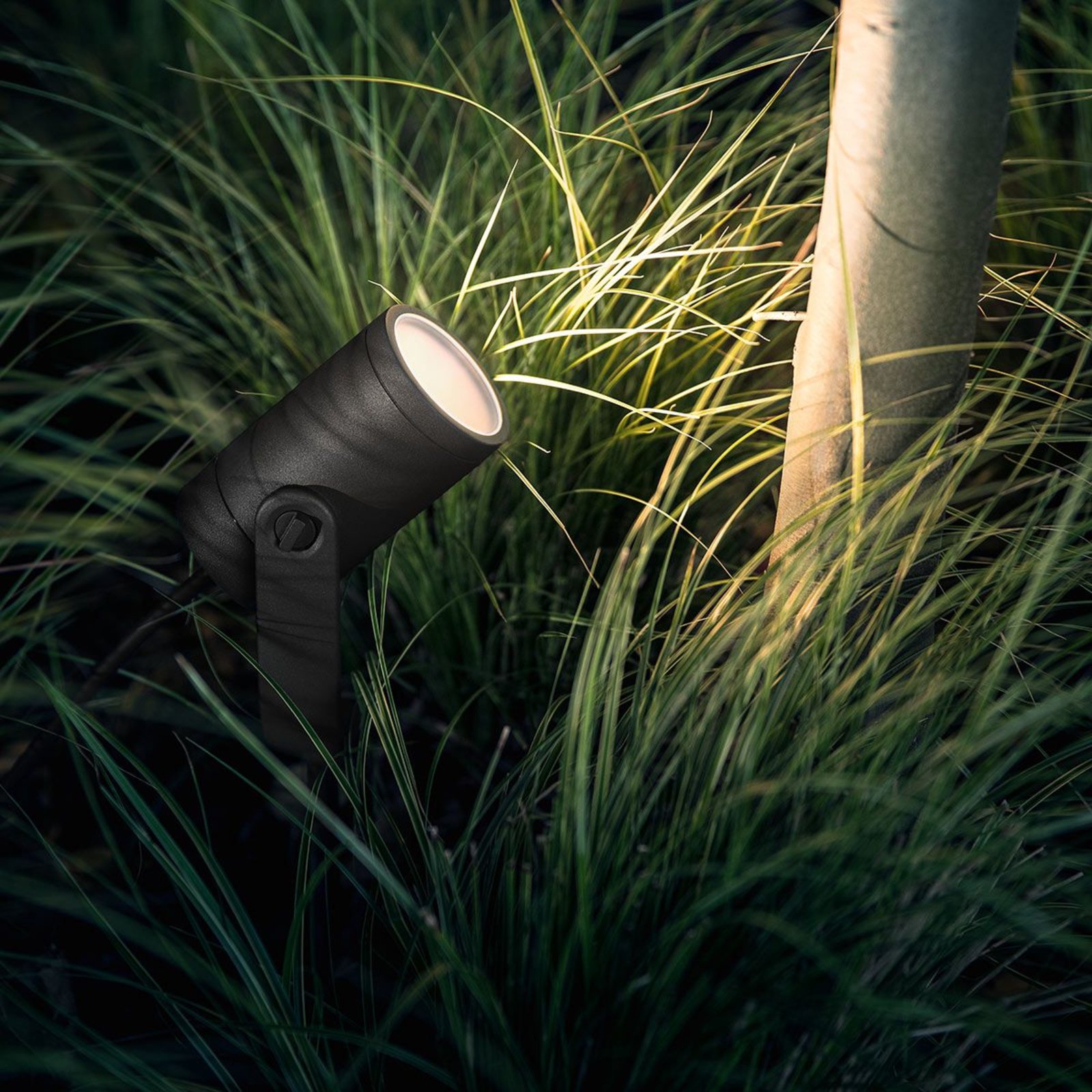 Philips Hue LED-spotlight Lily, styrbar via app