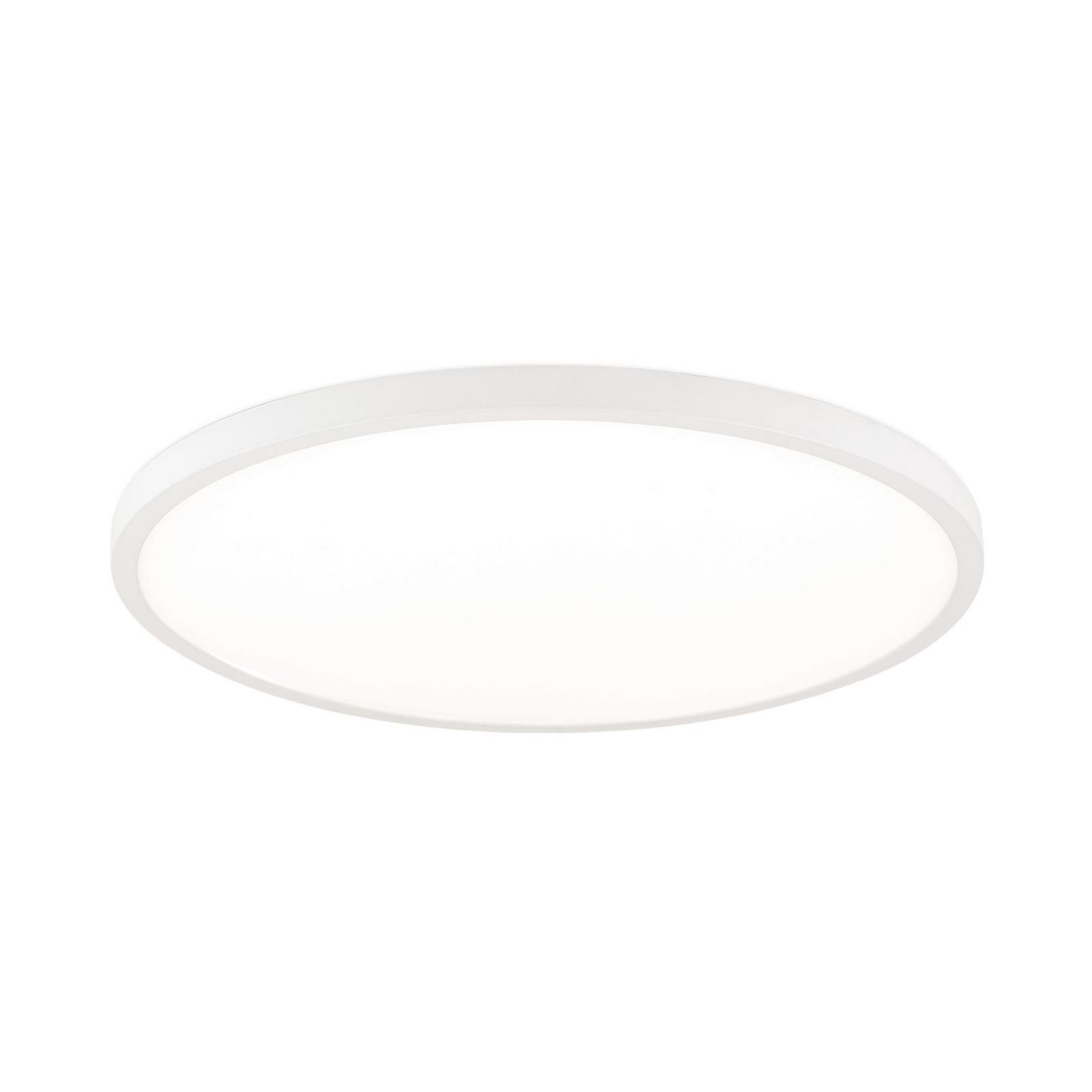 LED ceiling lamp Disc, white Ø 60 cm, CCT, metal/plastic