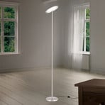 LED uplighter vloerlamp Oscar, dimbaar, kop justeerbaar