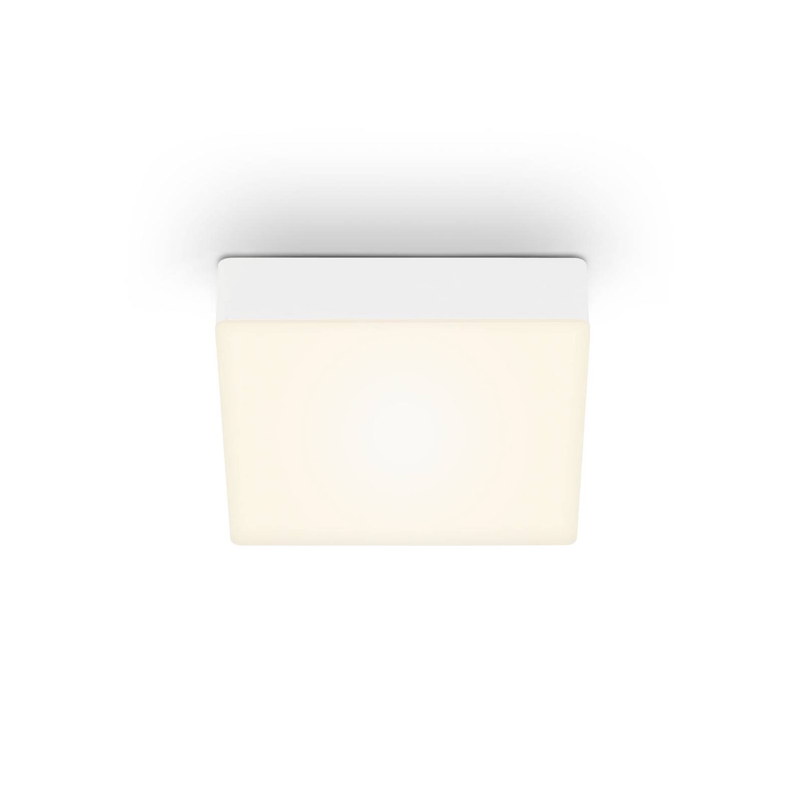 LED mennyezeti lámpa Flame, 15,7 x 15,7 cm, fehér