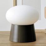 Fuji table lamp