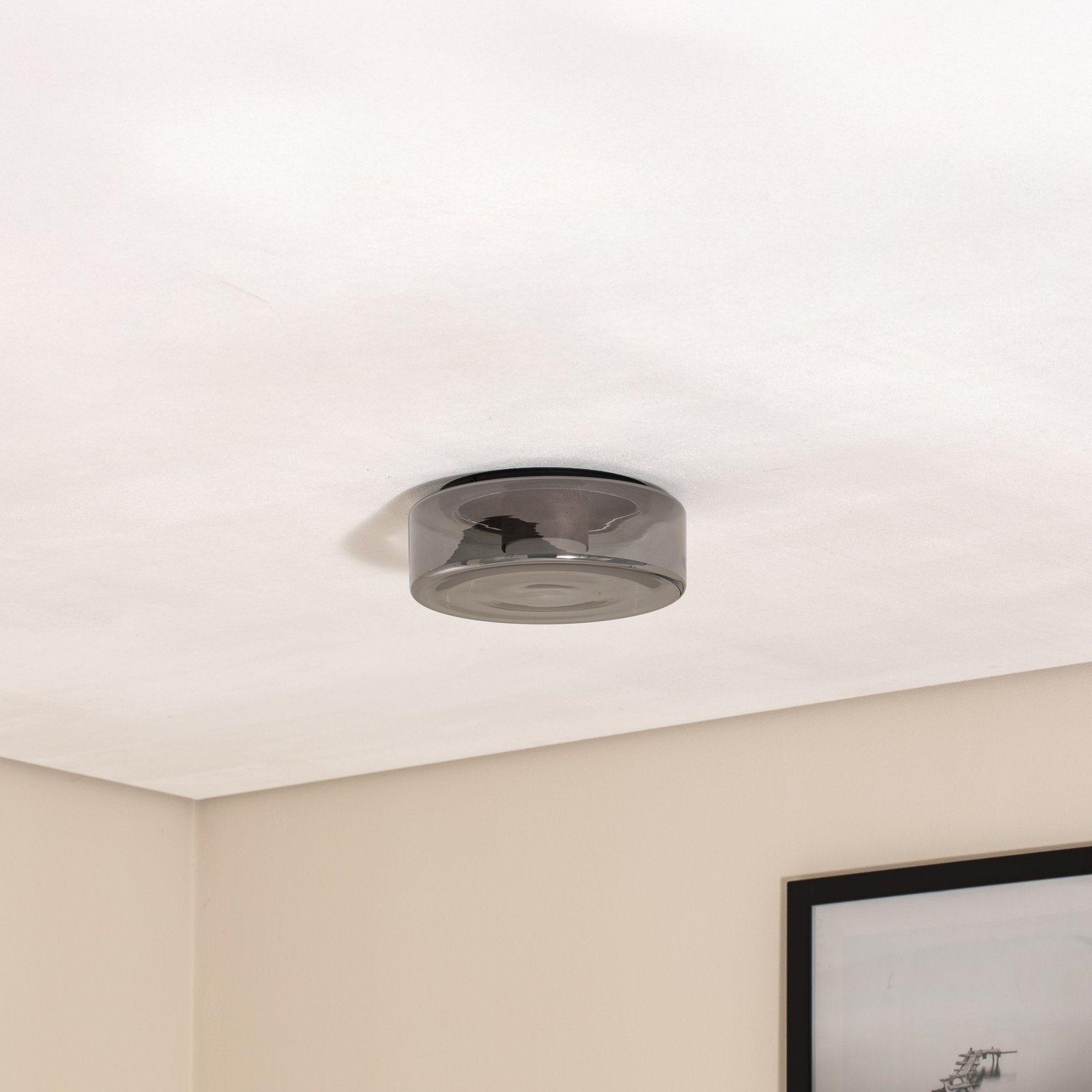 Plafondlamp Titania, rookgrijs/zwart, glas, Ø 25 cm