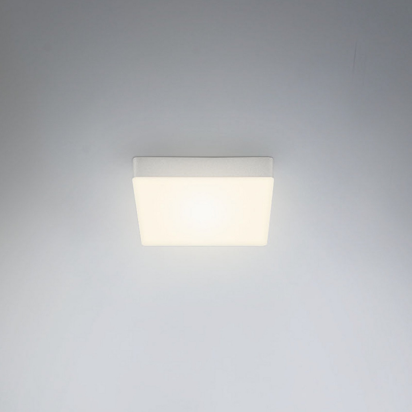 Briloner Plafonieră cu LED Flame 157 x 157 cm argintiu - Camera de zi / sufragerie - modern - argintiu mat satinat - Metal