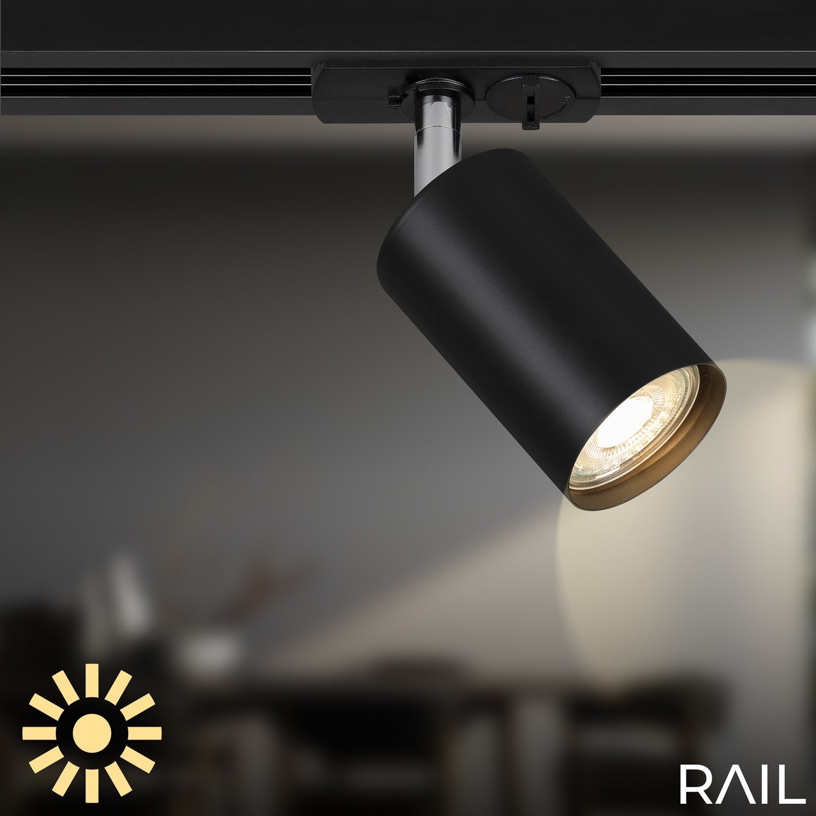 RAIL 230 V sistem de cale, negru, 4 spoturi LED, lungime 1,5 m