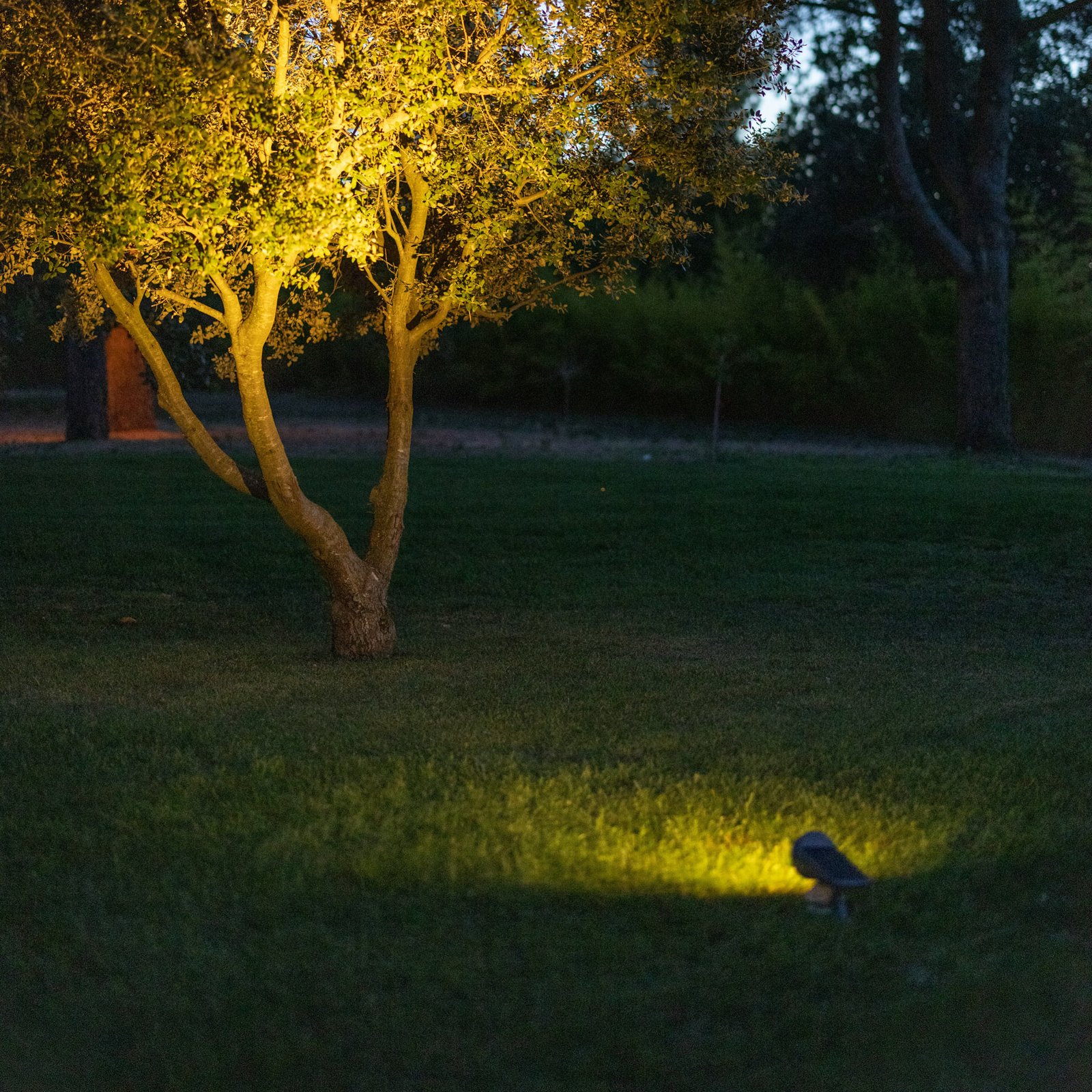 Spot LED solar OJE, cinzento, regulável Sensor de luz do dia Temporizador
