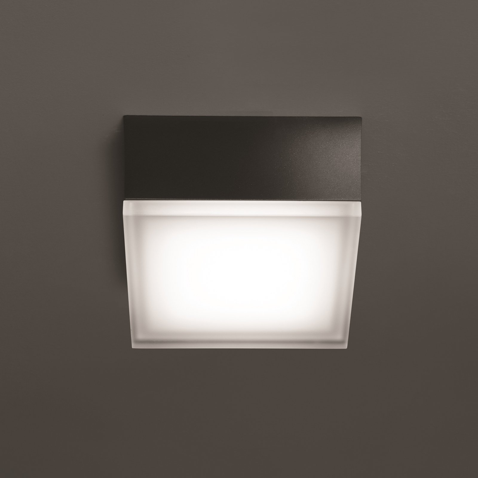 LED vonkajšie nástenné svietidlo 1425 grafit 12,5 x 12,5 cm