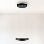 Lámpara colgante LED Q-Stretto de Paul Neuhaus, negra, 40,8 cm