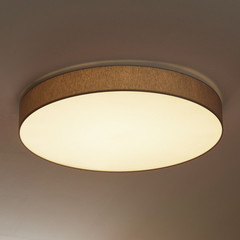 Lampa sufitowa LED Luno z funkcją ściemniania