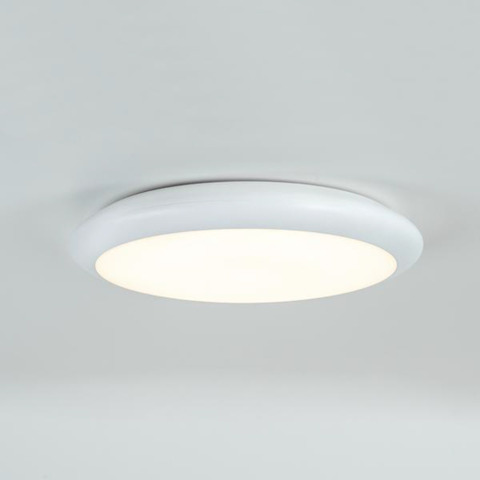 BRUMBERG Gavan LED-loftslampe, IP65, hvid Ø42cm
