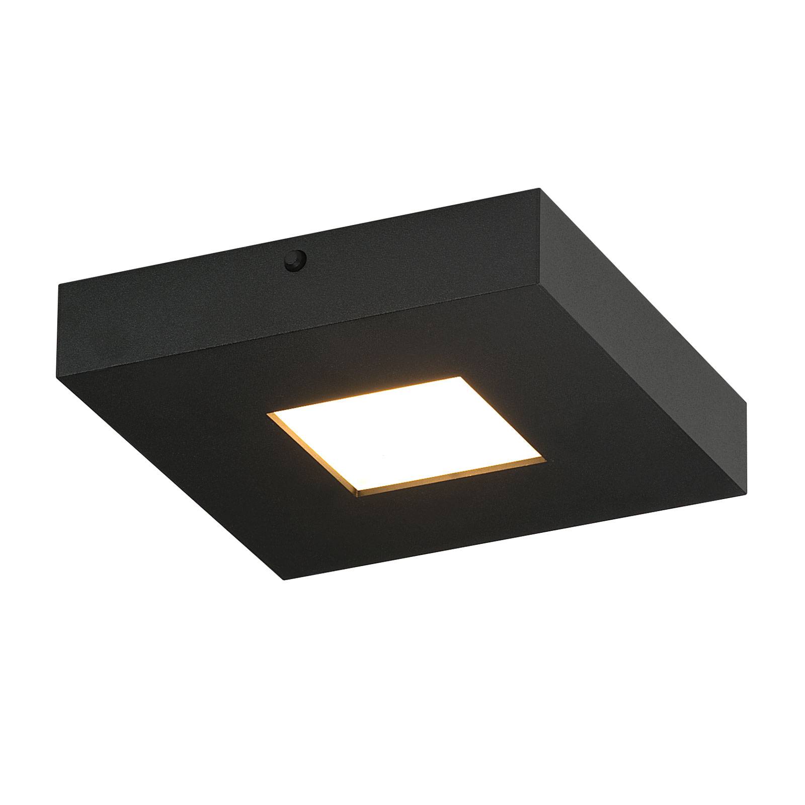 Bopp Cubus - LED-Deckenleuchte in Schwarz