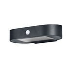 OSRAM LED-Sensor-Wandlampe ENDURA STYLE SOLAR OVAL, schwarz