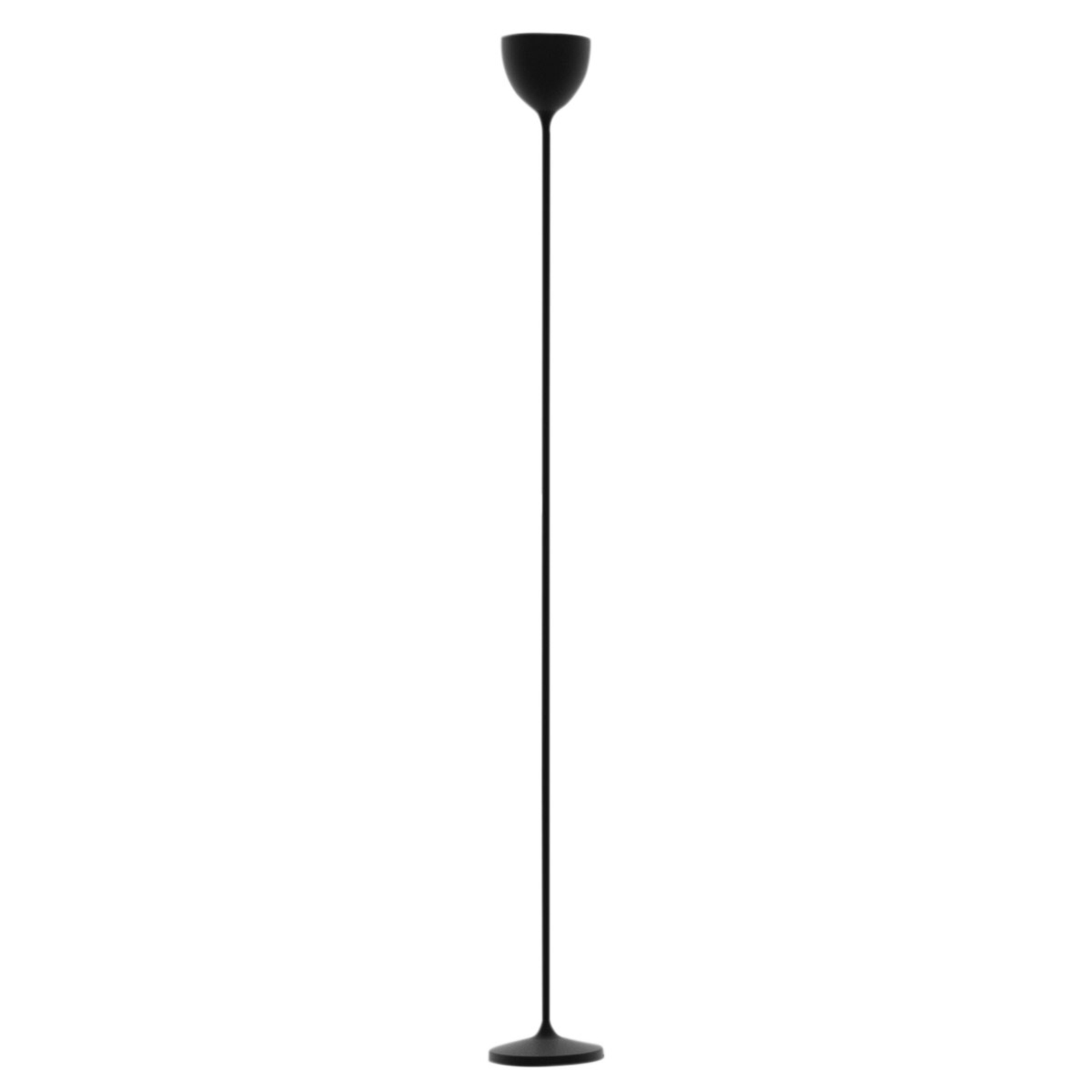 Rotaliana Drink lampada LED da terra