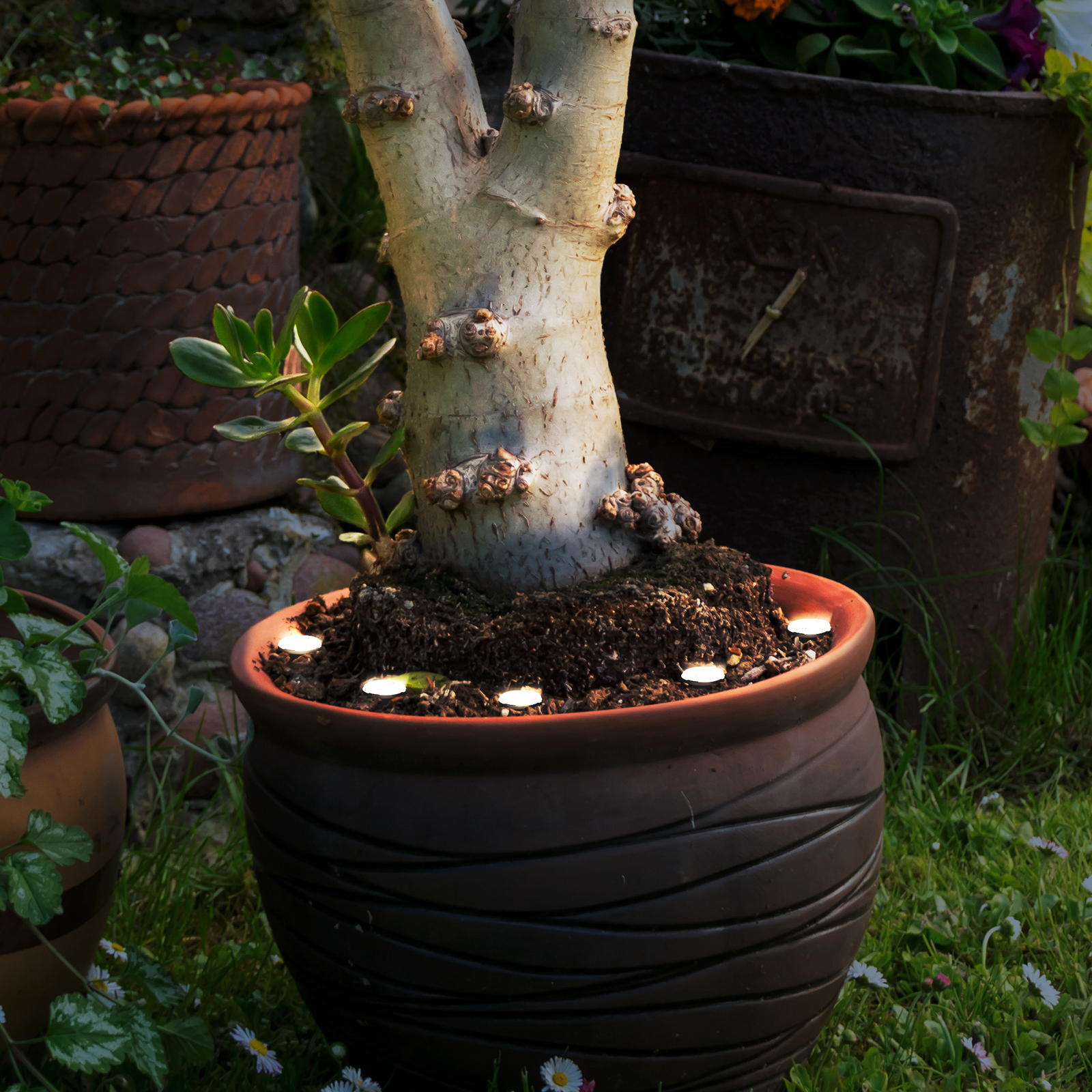 Lampe de sol LED Spinetoli 2, lot de 6 avec piquet de terre