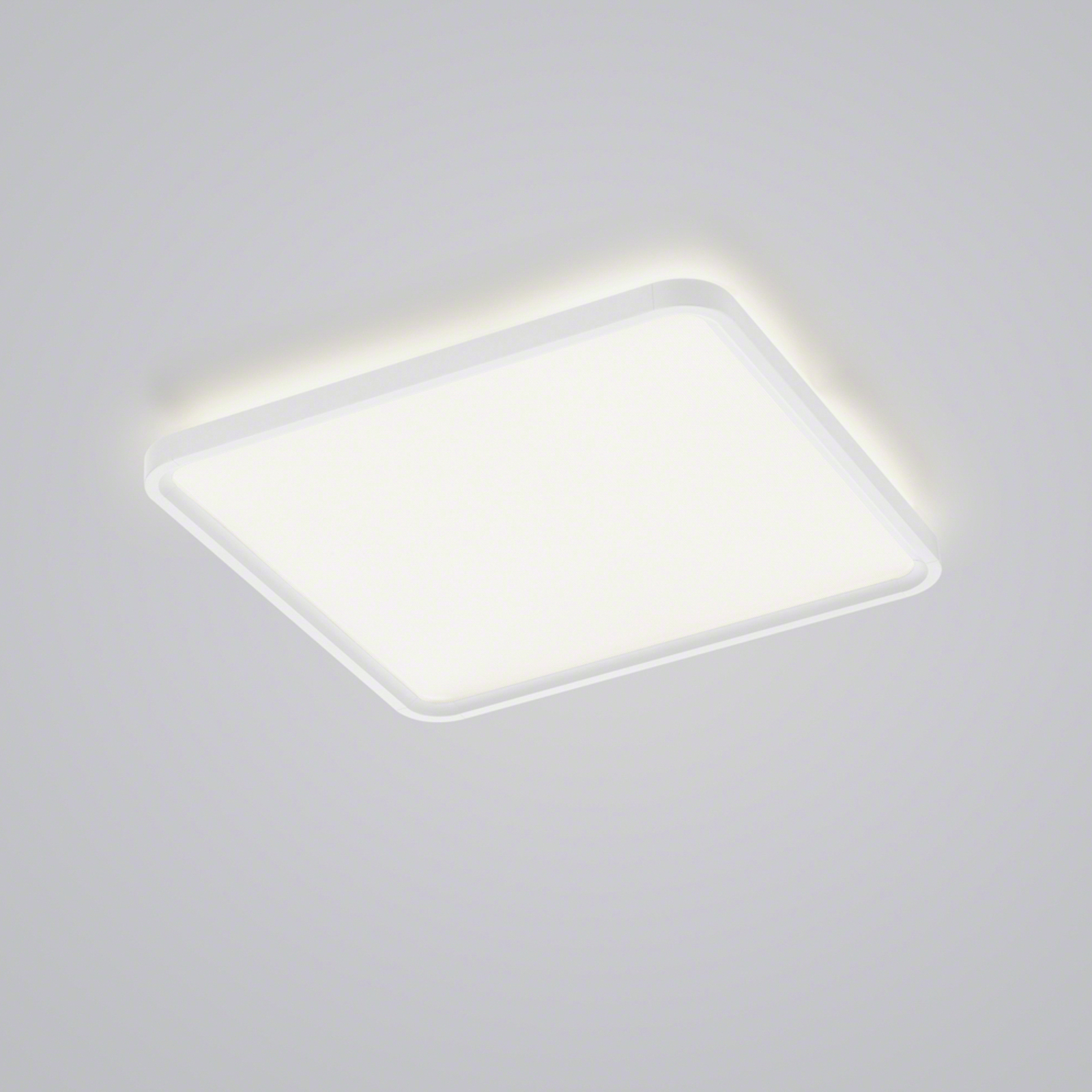 Helestra Vesp LED-Panel Backlight 61x61cm weiß
