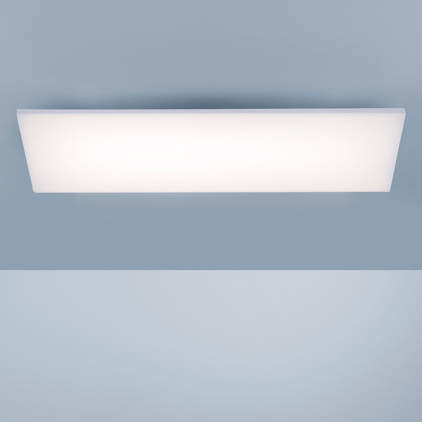 Paul Neuhaus Frameless plafondlamp RGBW 60x30cm