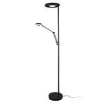 Lampadaire indirect LED Barrie, liseuse, noir mat