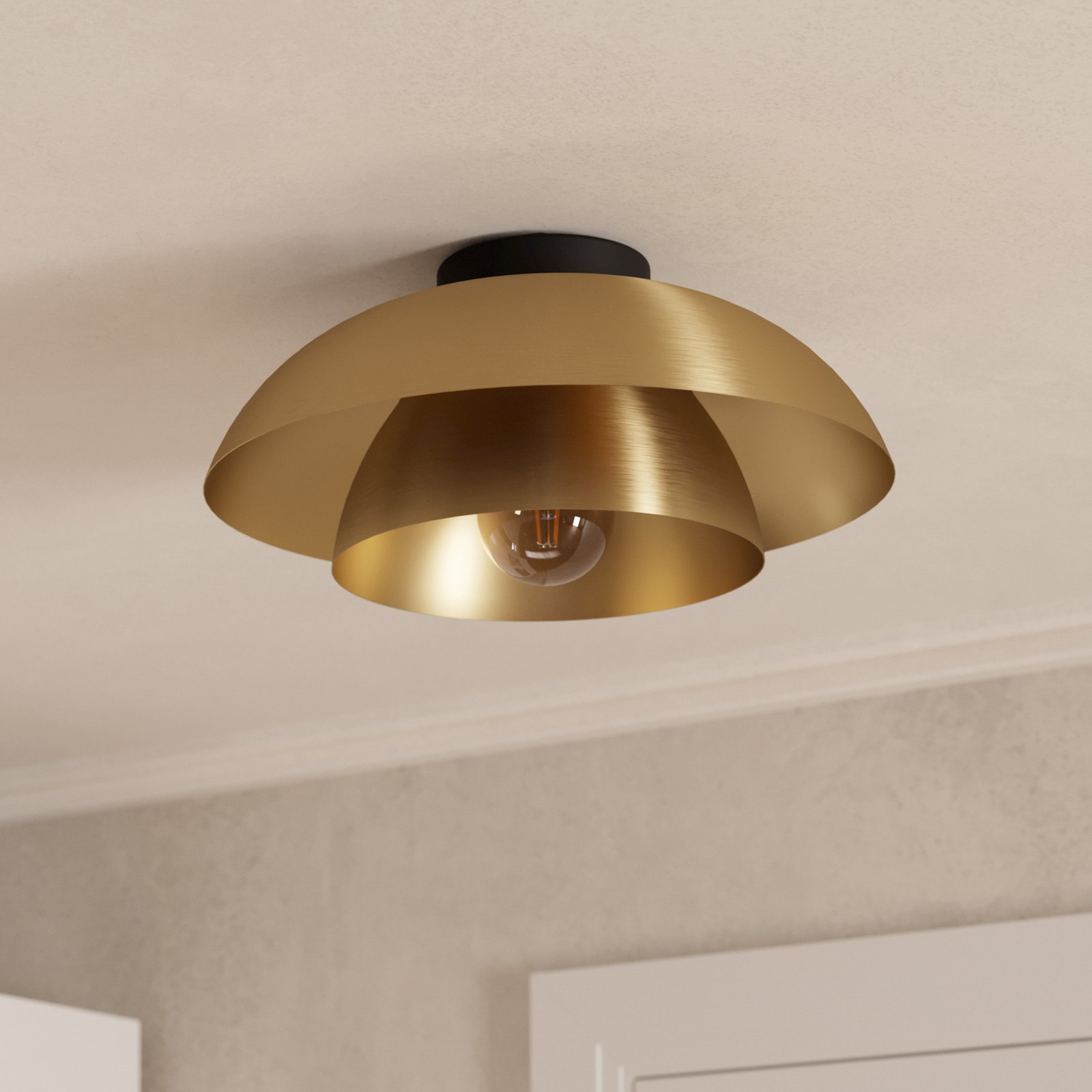 Kattovalaisin Cenciara harjattua messinkiä