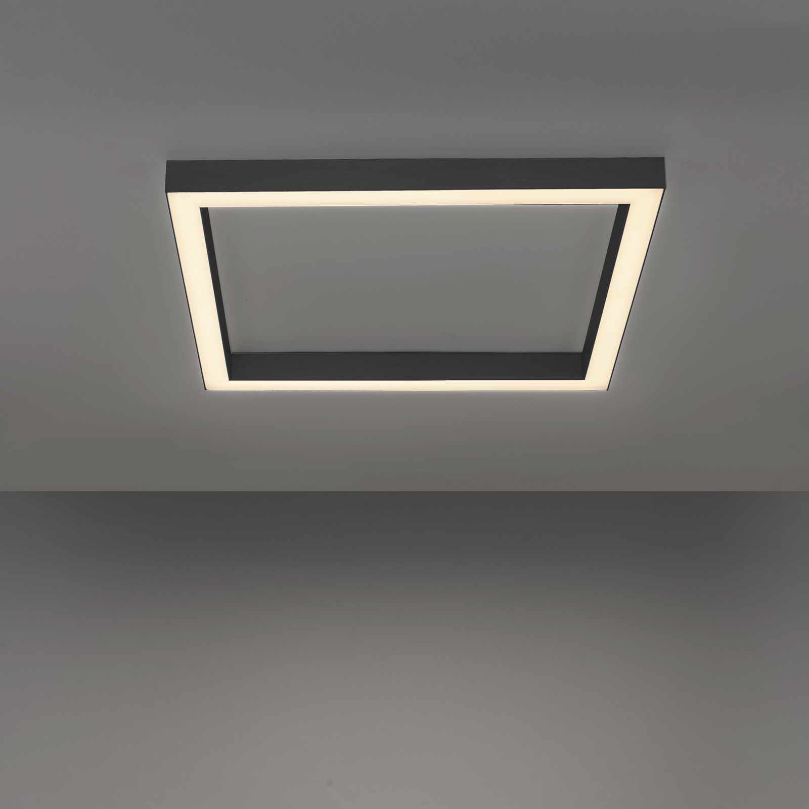 Paul Neuhaus Pure-Lines LED-loft kvadrat antracit