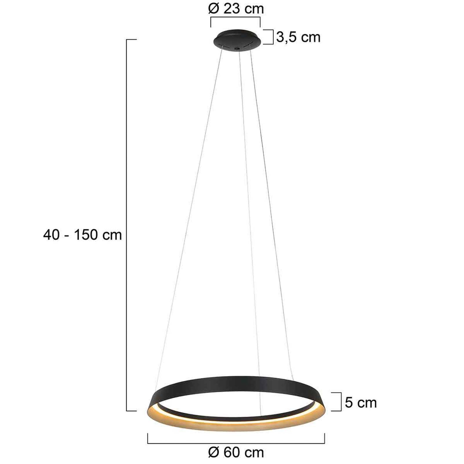 Steinhauer Suspension LED Ringlux à 1 lampe noir métal