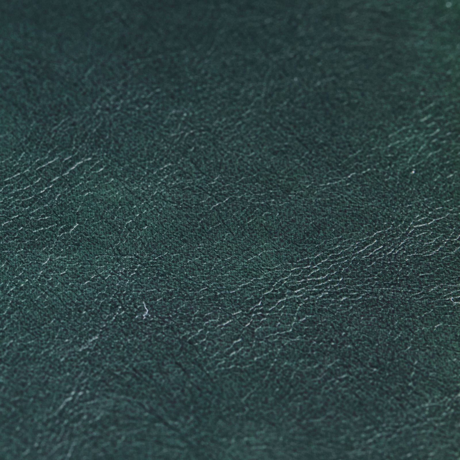 Comma krakk, grønn polyester, høyde 45 cm – House Doctor