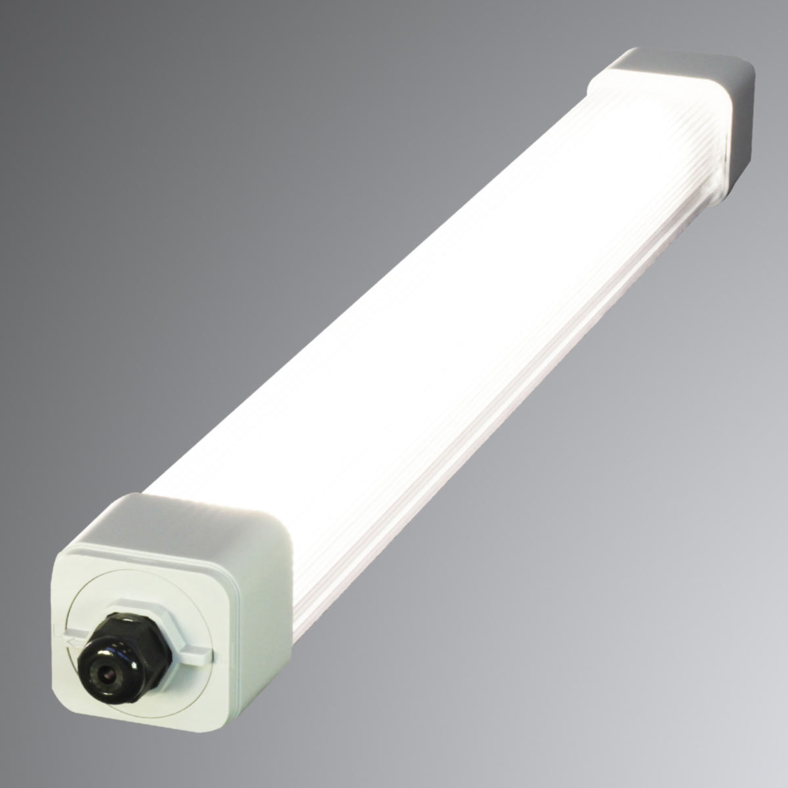 Kosteiden tilojen LED-lamppu Dino 2, 67,2cm, 19,5W