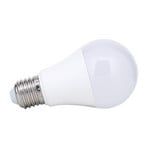 Λαμπτήρας LED E27 A60 5W 500 lm 2.700 K, opal