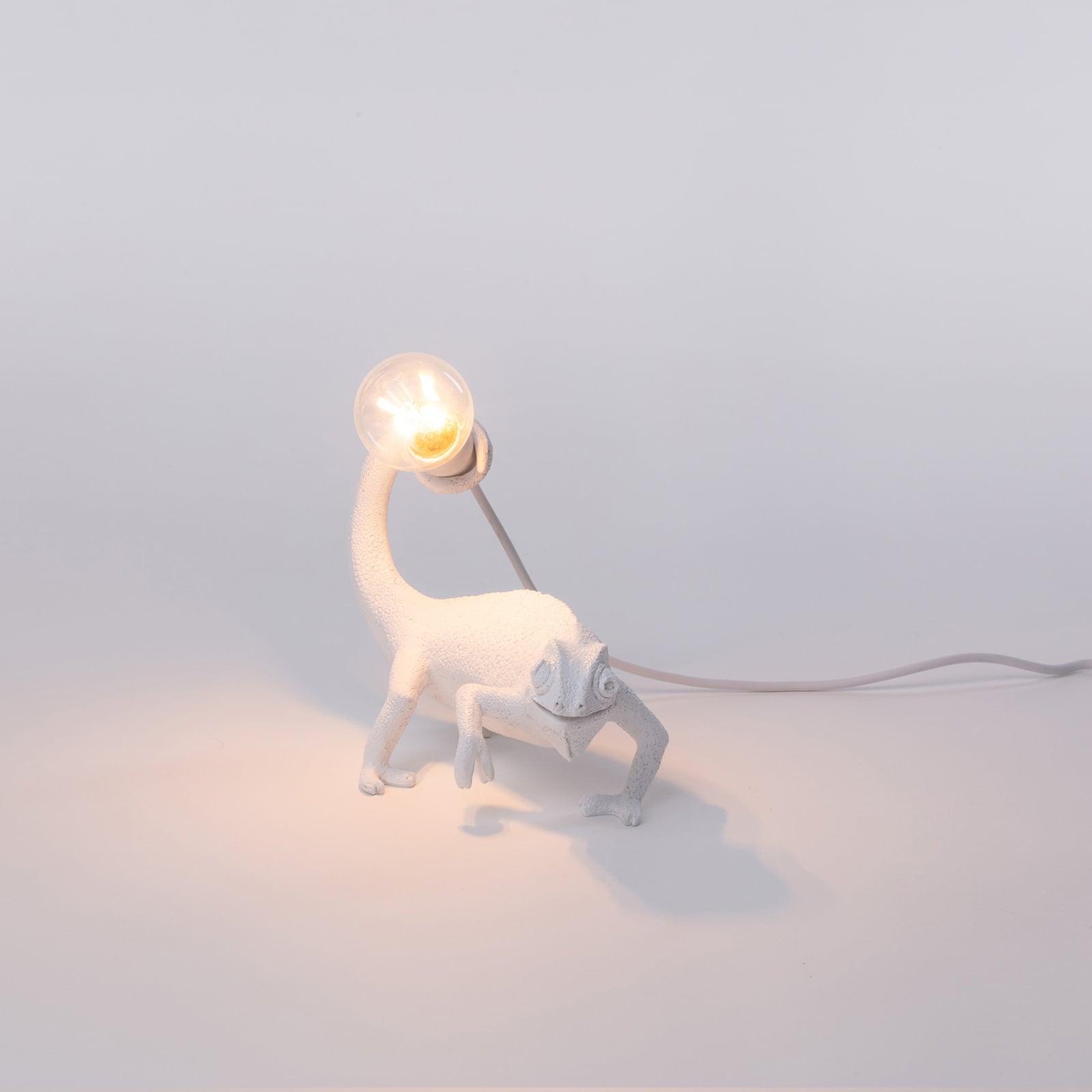 Chameleon Lamp Still LED decorative light, white, USB - SELETTI