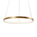 Circle LED pendant light, gold, Ø 39 cm