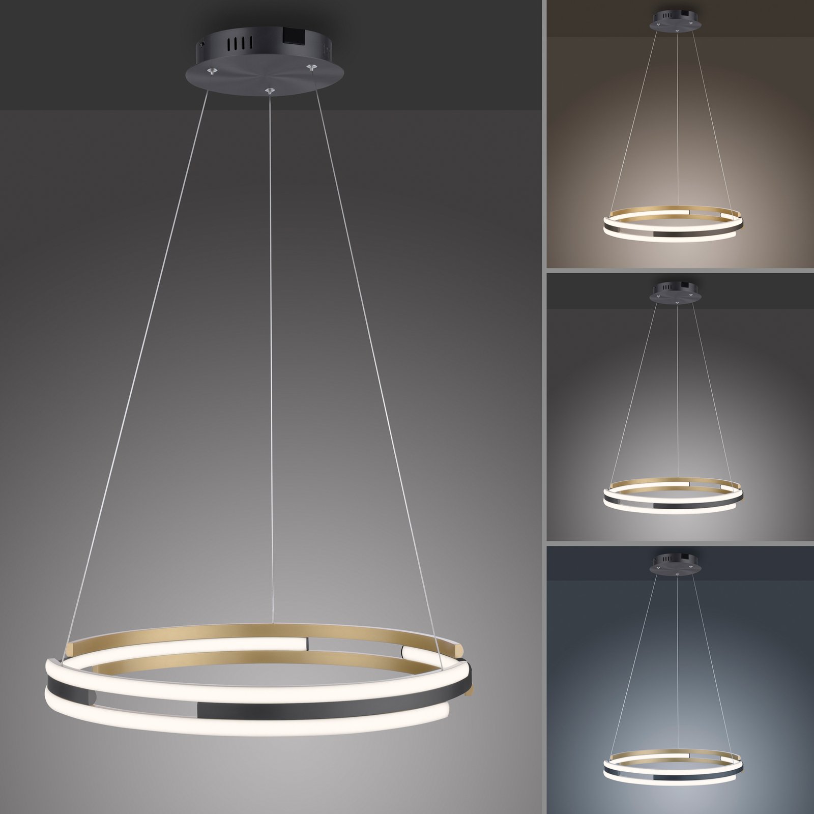 Paul Neuhaus Q-Beluga lampada LED sospens. ottone