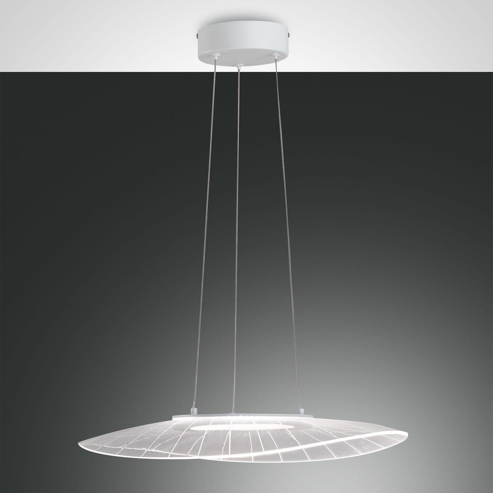 LED-Hängeleuchte Vela, weiß, oval, 59 cm x 43 cm