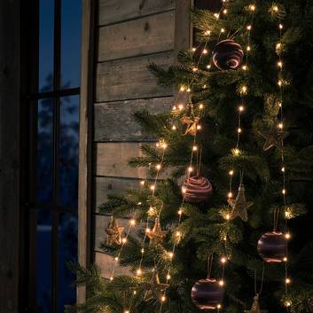 App-controlled LED indoor tree lights