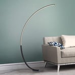 Paul Neuhaus Q-VITO LED floor lamp, curved