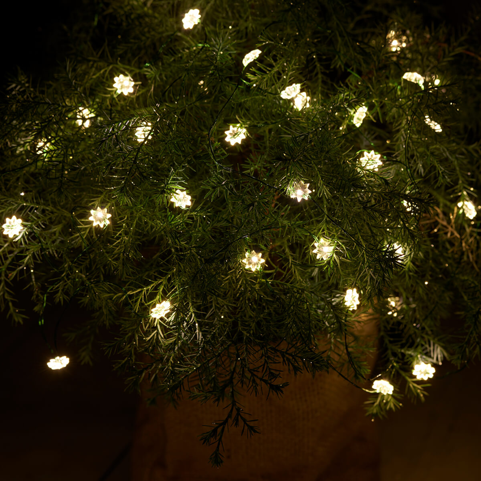 For indoors and outdoors - Silke 40fl LED fairy lights