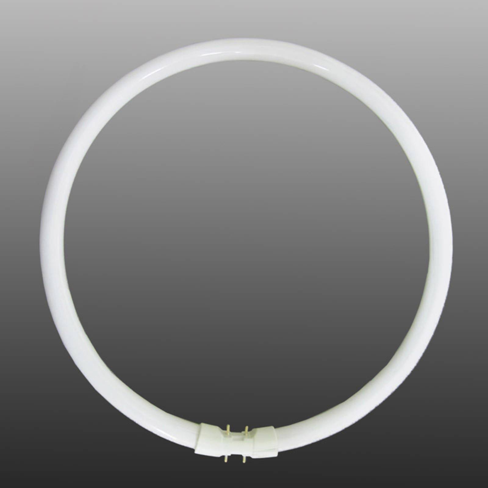 2GX13 22W T5 40W ringformat lysrör, varmvit