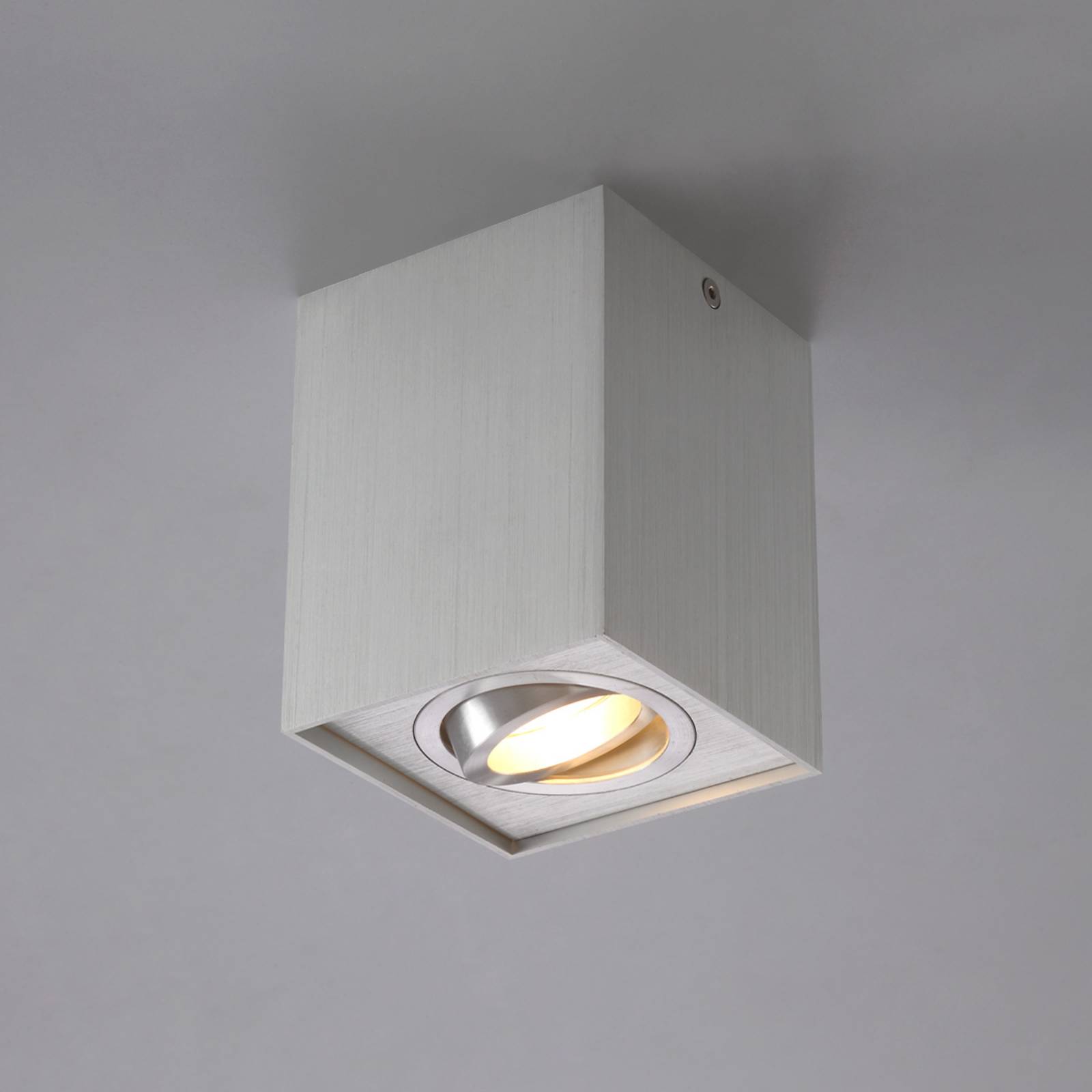 Arcchio Ceiling Light - Hallway - Flush Ceiling Light - dimmable - Modern - Silver