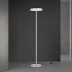 Lampadaire LED KANT, kaki, hauteur 185 cm, CCT, à intensité variable, haut/bas