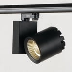LED track spotlight Train 40W 3,000K