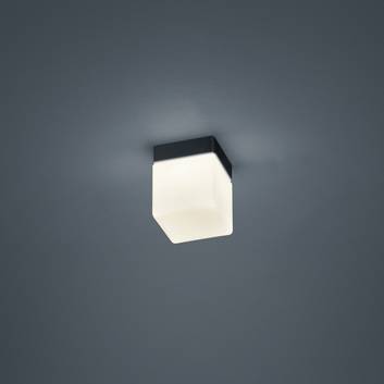Helestra Keto plafonnier LED, angulaire noir