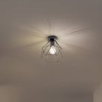 Patara ceiling light, black, Ø 20 cm, grid shade, metal