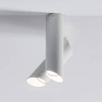 NEMO TUBE LED plafondlamp 2-lamps wit/wit