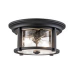 Merrill outdoor ceiling light in black