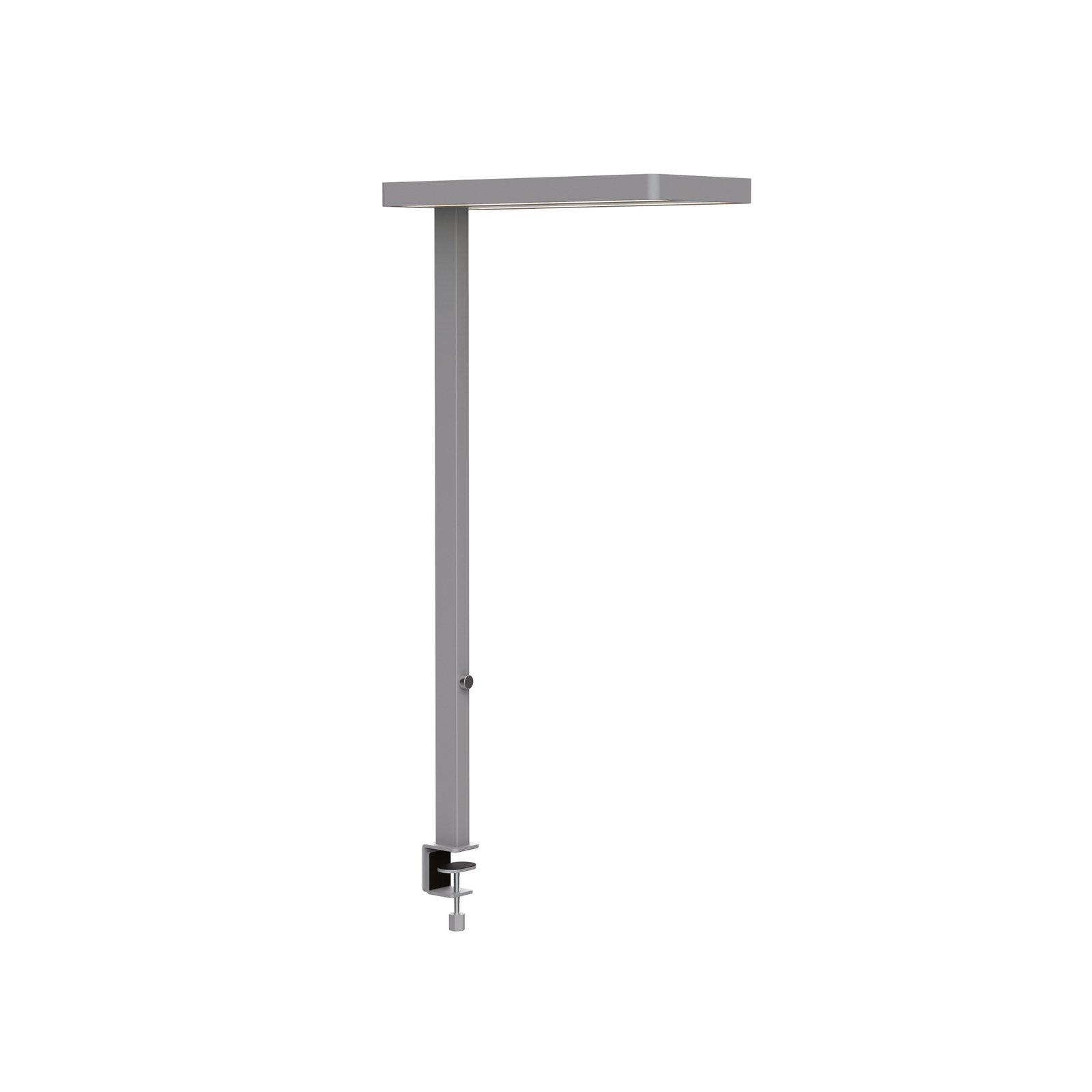 MAULjaval LED table lamp, silver, clamp base