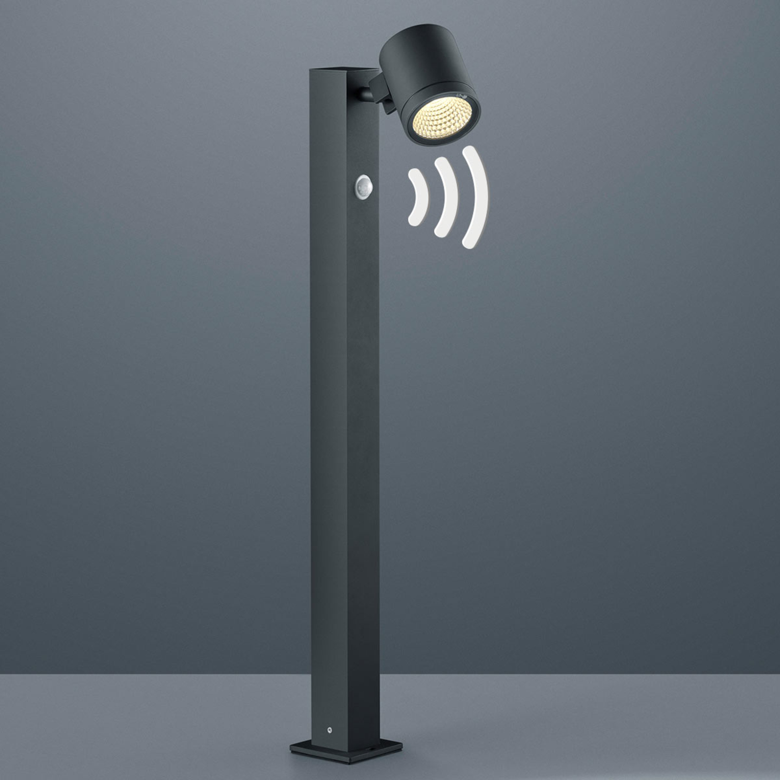 Helestra Part LED path light with motion detector, graphite, aluminium, 10 W, energy efficiency: A+, L: 8.5 cm, W: 17 cm, H: 75.5 cm