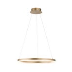 Paul Neuhaus LED hanging light Titus, Ø 60 cm, brass, dimmable