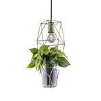 Hanglamp Plant, 1-lamp glazen inzet v. decoratie