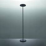 Artemide Athena Integralis floor lamp 950 black