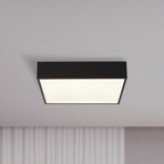 LED-Bad-Deckenlampe Zeus, Länge 30 cm, Metall, Kunststoff