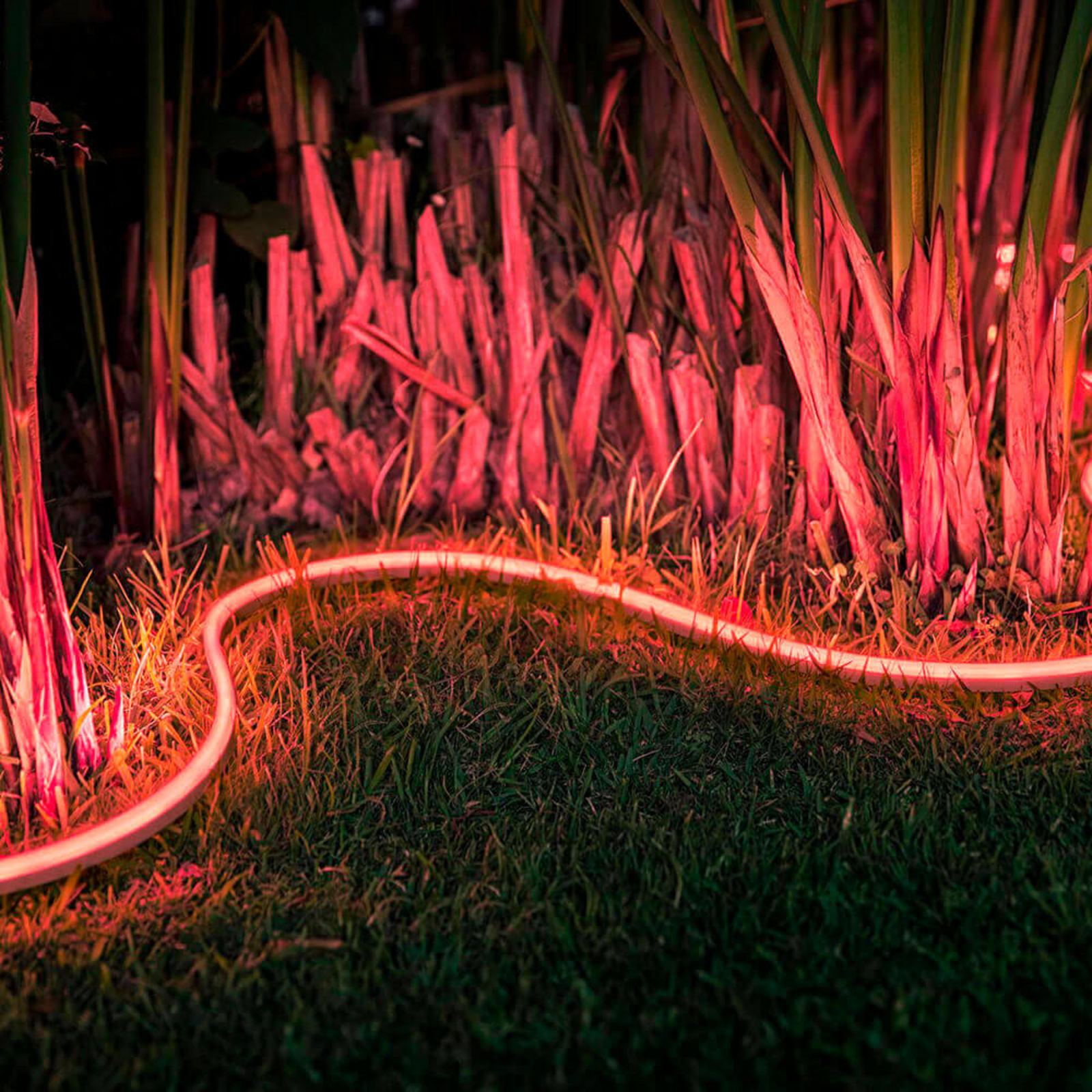 Hue Outdoor Lightstrip 2m White/Color Amb. - Philips Hue