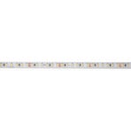 BRUMBERG LED juosta QUALITYFLEX ONE 14,4 W/m, 3000 K, IP67, ilgis 5 m
